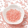 6/0 Glass Seed Beads SEED-Z001-B-E10-2