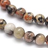 Natural Silver Crazy Lace Agate Round Beads Strands G-N0166-34-4mm-2