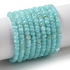 Natural Freshwater Shell Beads Strands SHEL-P017-01B-03-1