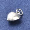 925 Sterling Silver Pendants STER-P057-07C-S-2