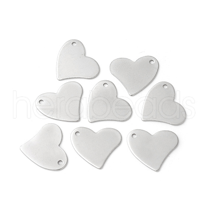 Tarnish Resistant 304 Stainless Steel Pendants X-STAS-F192-047P-1