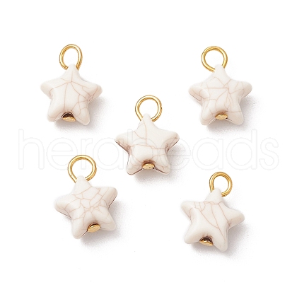 Crackle Opaque Acrylic Pendants PALLOY-JF03924-02-1