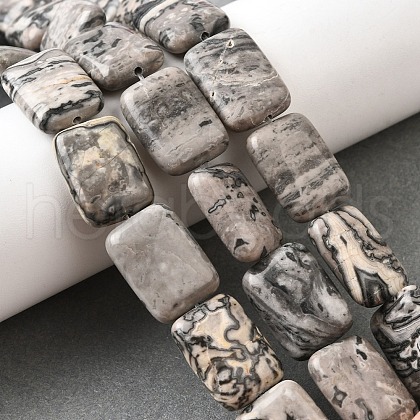 Natural Map Stone Beads Strands G-S386-A13-1
