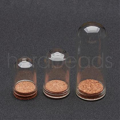 Glass Dome Cloche Cover AJEW-P043-1