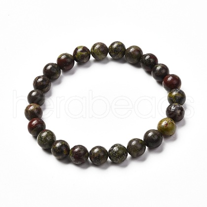 Natural Dragon Blood Jasper Stretch Bracelets for Men Women BJEW-JB06696-1