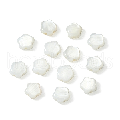 30Pcs Natural Freshwater Shell Beads SHEL-CJ0001-29-1
