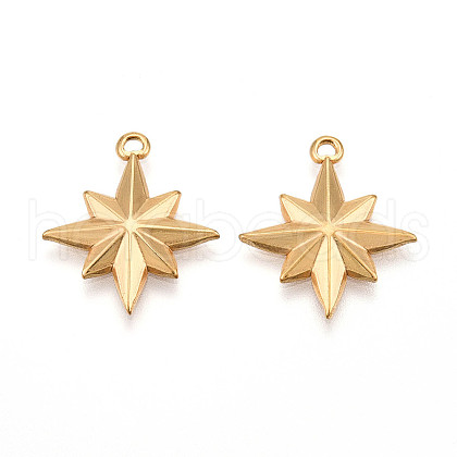 304 Stainless Steel Pendants STAS-N109-103G-1