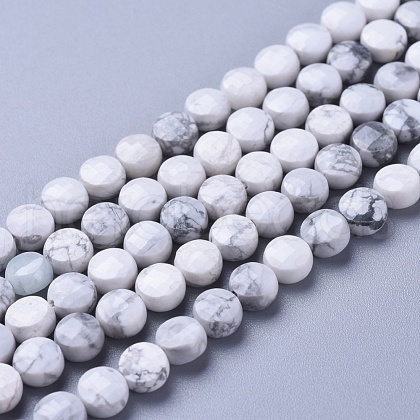 Natural Howlite Beads Strands G-L538-023-1