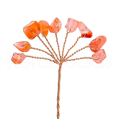 Natural Carnelian Display Decorations PW-WG3C0D9-06-1