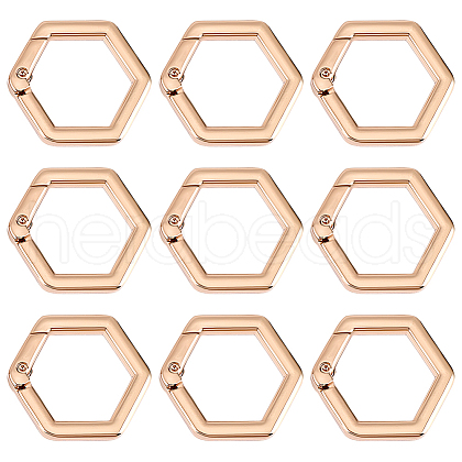 Beebeecraft 10Pcs Alloy Spring Rings Clasps FIND-BBC0002-41-1