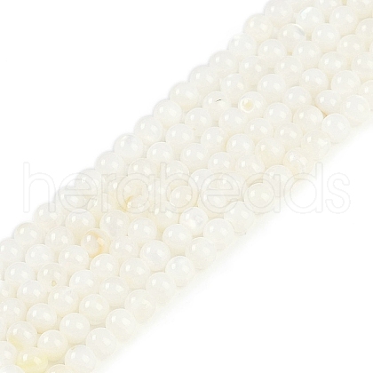 Natural Cultured Freshwater Shell Beads Strands BSHE-H109-03B-1