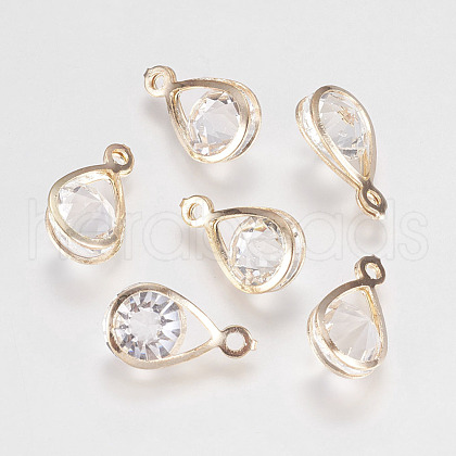 Glass Rhinestone Pendants X-IFIN-F144-24G-1