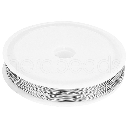 Beebeecraft 304 Stainless Steel Wire TWIR-BBC0001-01D-1