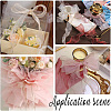 Polyester Organza Ribbons SRIB-WH20020-003A-02-5