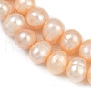 Natural Cultured Freshwater Pearl Beads Strands PEAR-I007-07X-06B-4