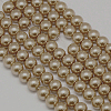 Dyed Glass Pearl Round Bead Strands X-HY-A002-10mm-RB067-1