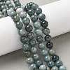 Natural Myanmar Jadeite Beads Strands G-B099-C06-04-5