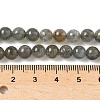Natural Labradorite Beads Strands G-U017-6mm-01-5