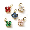 Brass Micro Pave Cubic Zirconia Pendants KK-V008-11G-06-1