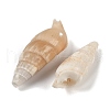 Natural Spiral Shell Pendants SHEL-K009-17B-2