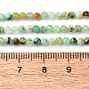 Natural Chrysoprase Beads Strands G-RM2025-A01-3mm-5