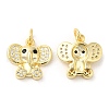 Brass with Cubic Zirconia Pendants KK-K332-27G-1