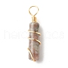Natural Plum Blossom Jasper Pendants PALLOY-JF01133-02-2