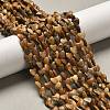 Natural Picture Jasper Beads Strands G-P575-C08-6mm-1