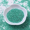 MIYUKI Delica Beads SEED-J020-DB0238-2