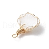 Copper Wire Wrapped Natural Shell Pendants PALLOY-JF03494-5