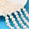 Natural Cultured Freshwater Pearl Beads Strands PEAR-P064-19K-03B-1