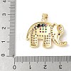 Brass Micro Pave Colorful Cubic Zirconia Pendants ZIRC-I071-01G-02-3