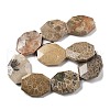 Natural Fossil Coral Beads Strands G-F477-07-44x34mm-1