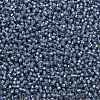 TOHO Round Seed Beads SEED-XTR11-2102-2