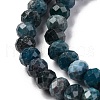 Natural Apatite Beads Strands G-K380-A22-01-4