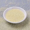 MIYUKI Round Rocailles Beads SEED-X0054-RR2217-1