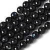 Natural Black Lip Shell Beads Strands SSHEL-C013-01C-1