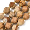 Natural Picture Jasper Beads Strands G-U023-A09-01-2