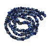 Natural Lapis Lazuli Beads Strands G-Q060-C04-3