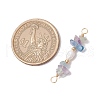 Natural Fluorite Chip & Natural Cultured Freshwater Pearl Rice Beaded Connector Charms PALLOY-JF03707-06-2