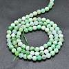 Natural Chrysoprase Beads Strands G-K305-13-B-2