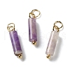 Natural Amethyst Pendants STAS-C120-01G-01-1