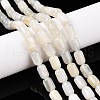 Natural White Moonstone Beads Strands G-G980-27-1