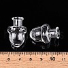 Glass Bottles AJEW-N002-05-4