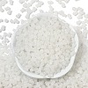 Transparent Colours Glass Seed Beads SEED-R001-01A-2