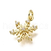 Brass Micro Pave Clear Cubic Zirconia Charms KK-V011-39A-G-2