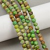 Dyed Natural Regalite/Imperial Jasper/Sea Sediment Jasper Beads Strands G-B124-C04-06-5