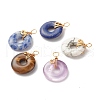 Natural Gemstone Pendants PALLOY-JF01285-1