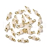 Natural Quartz Crystal Connector Charms FIND-C046-03A-G-1