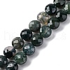 Natural Moss Agate Beads Strands G-C179-A21-03-2